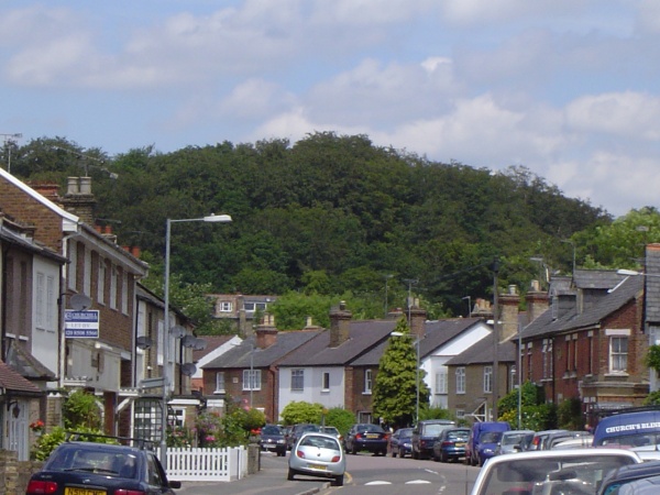 forest road, loughton by peter house and carol murray.jpg